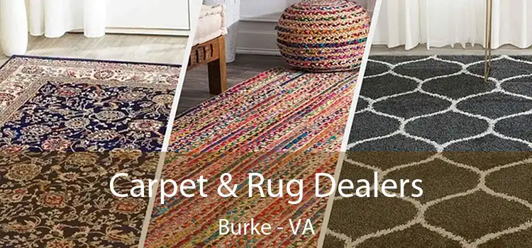  Carpet & Rug Dealers Burke - VA