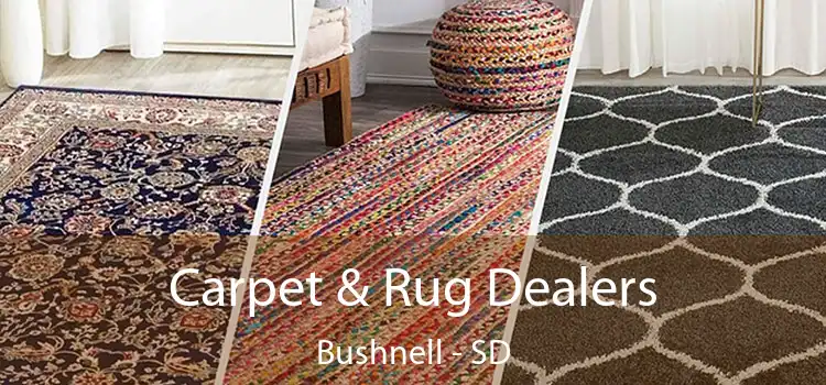 Carpet & Rug Dealers Bushnell - SD