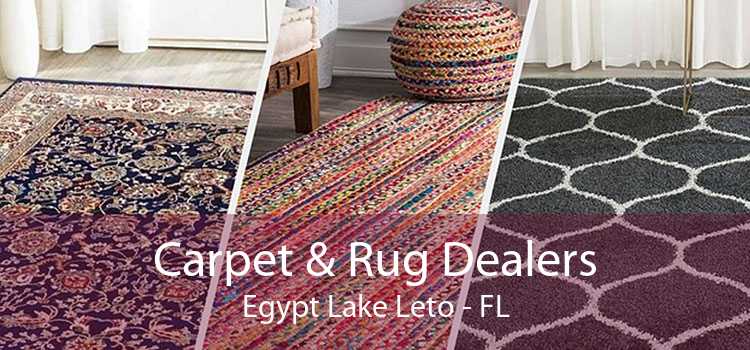 Carpet & Rug Dealers Egypt Lake Leto - FL