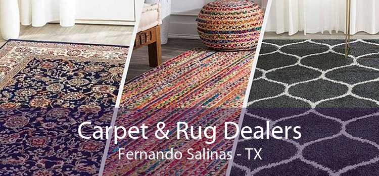 Carpet & Rug Dealers Fernando Salinas - TX