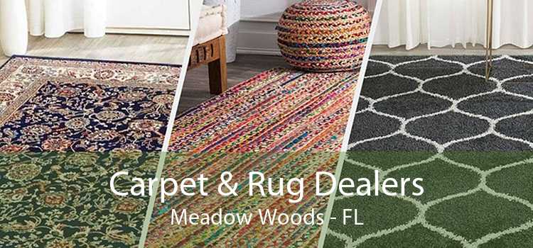 Carpet & Rug Dealers Meadow Woods - FL