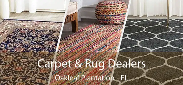  Carpet & Rug Dealers Oakleaf Plantation - FL