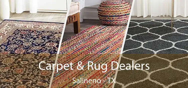  Carpet & Rug Dealers Salineno - TX