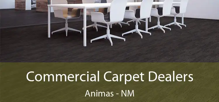  Commercial Carpet Dealers Animas - NM