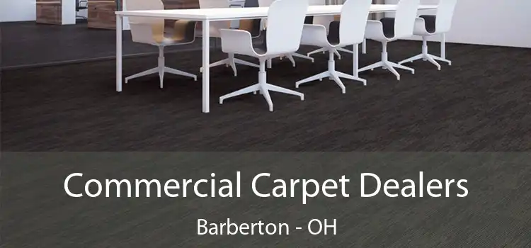  Commercial Carpet Dealers Barberton - OH