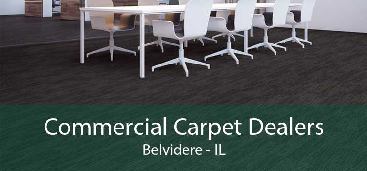 Commercial Carpet Dealers Belvidere - IL