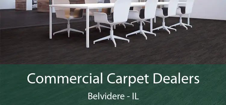 Commercial Carpet Dealers Belvidere - IL