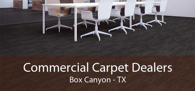 Commercial Carpet Dealers Box Canyon - TX