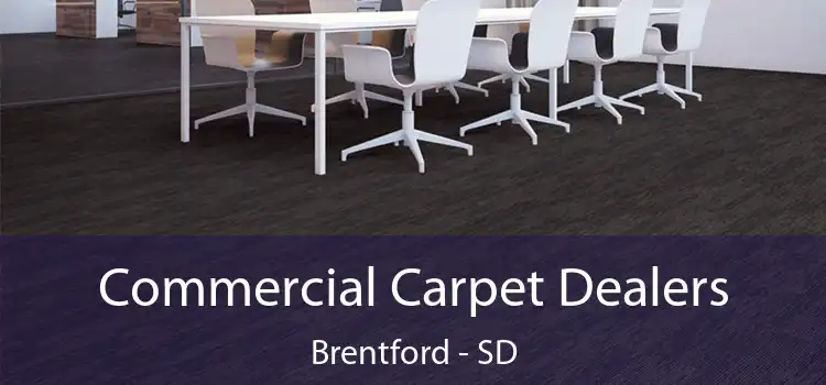  Commercial Carpet Dealers Brentford - SD
