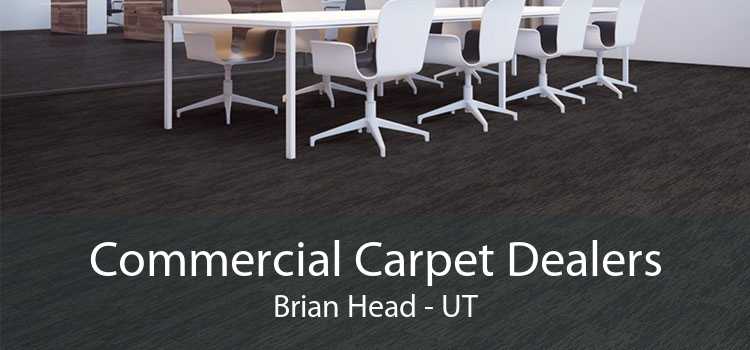 Commercial Carpet Dealers Brian Head - UT