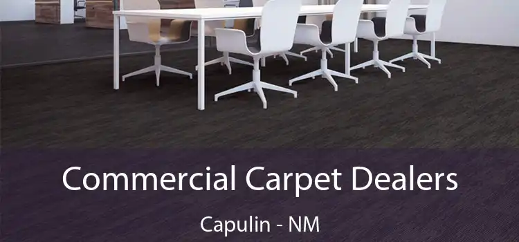  Commercial Carpet Dealers Capulin - NM