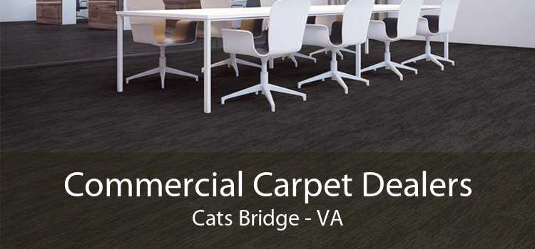 Commercial Carpet Dealers Cats Bridge - VA
