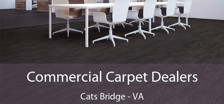 Commercial Carpet Dealers Cats Bridge - VA