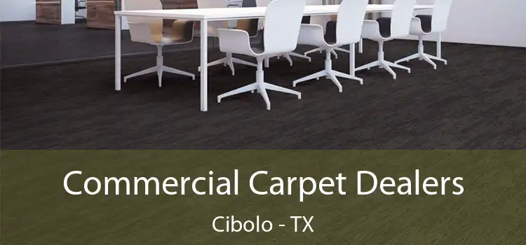  Commercial Carpet Dealers Cibolo - TX