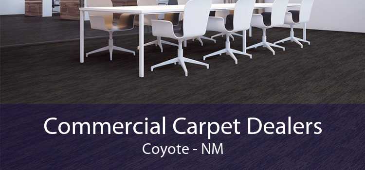 Commercial Carpet Dealers Coyote - NM