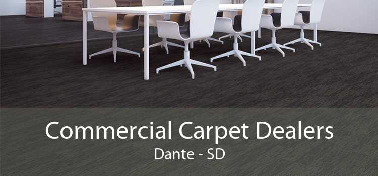 Commercial Carpet Dealers Dante - SD