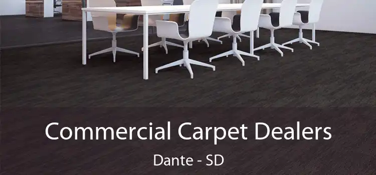 Commercial Carpet Dealers Dante - SD