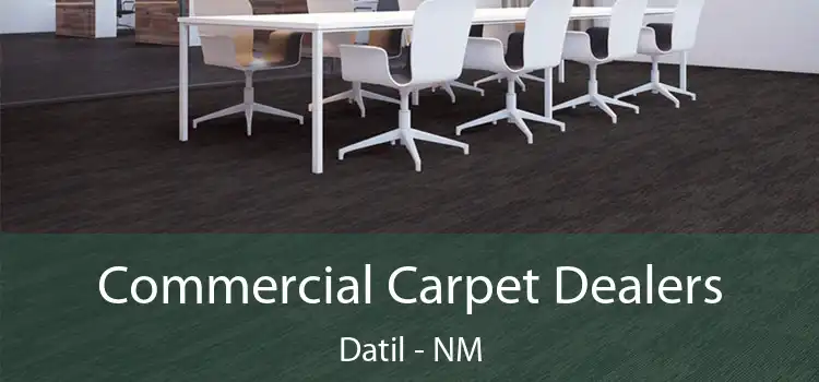  Commercial Carpet Dealers Datil - NM