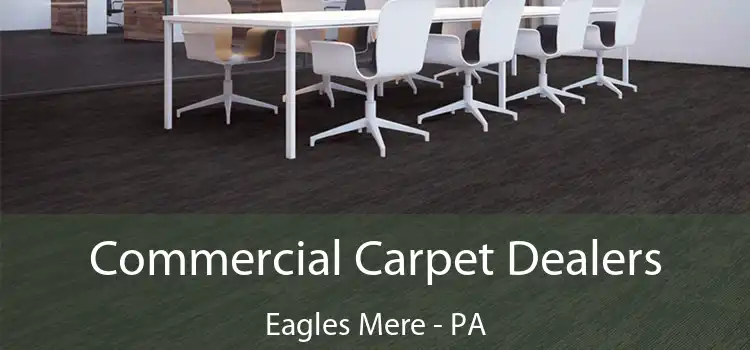  Commercial Carpet Dealers Eagles Mere - PA