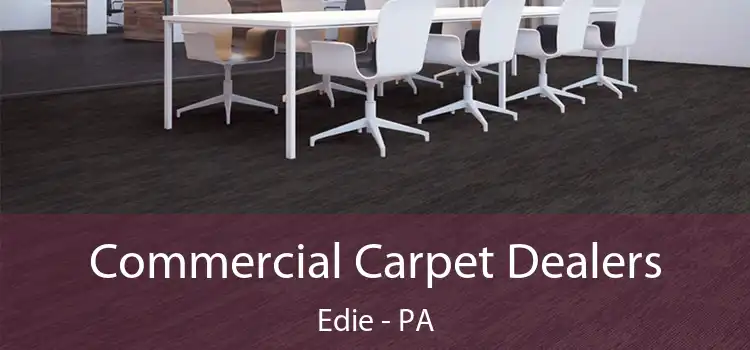 Commercial Carpet Dealers Edie - PA