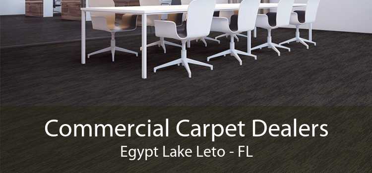 Commercial Carpet Dealers Egypt Lake Leto - FL