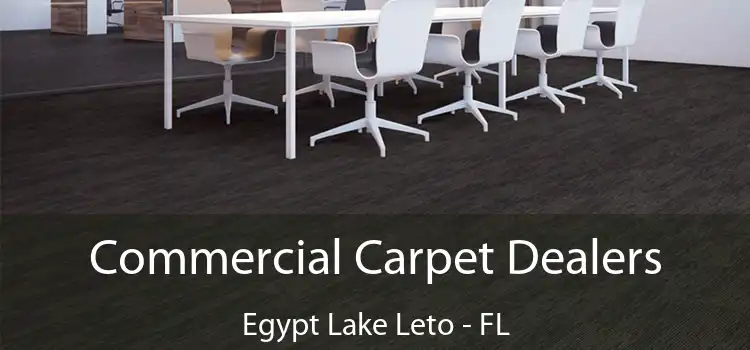 Commercial Carpet Dealers Egypt Lake Leto - FL