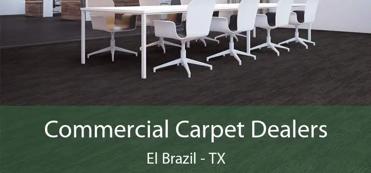  Commercial Carpet Dealers El Brazil - TX