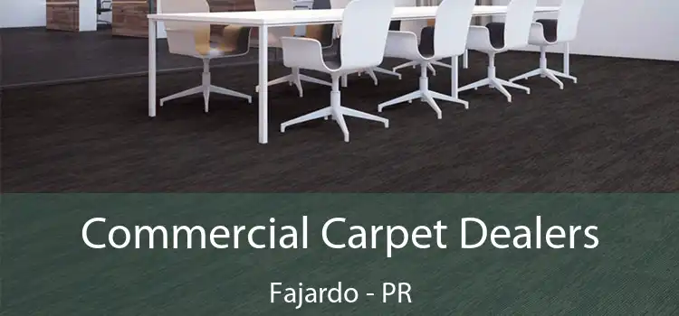 Commercial Carpet Dealers Fajardo - PR
