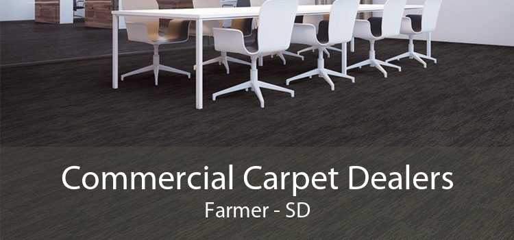 Commercial Carpet Dealers Farmer - SD