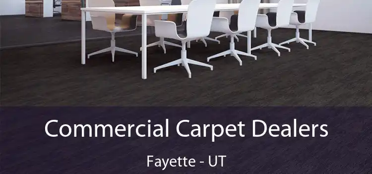 Commercial Carpet Dealers Fayette - UT