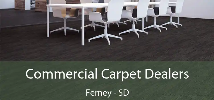  Commercial Carpet Dealers Ferney - SD
