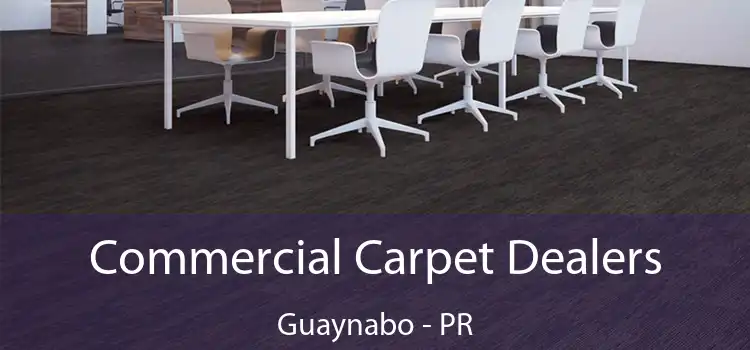  Commercial Carpet Dealers Guaynabo - PR