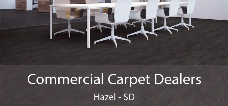  Commercial Carpet Dealers Hazel - SD