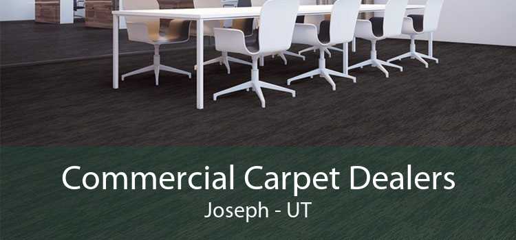 Commercial Carpet Dealers Joseph - UT