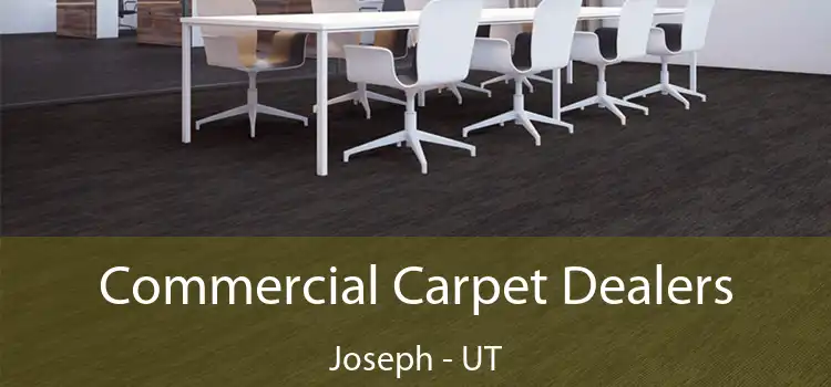  Commercial Carpet Dealers Joseph - UT