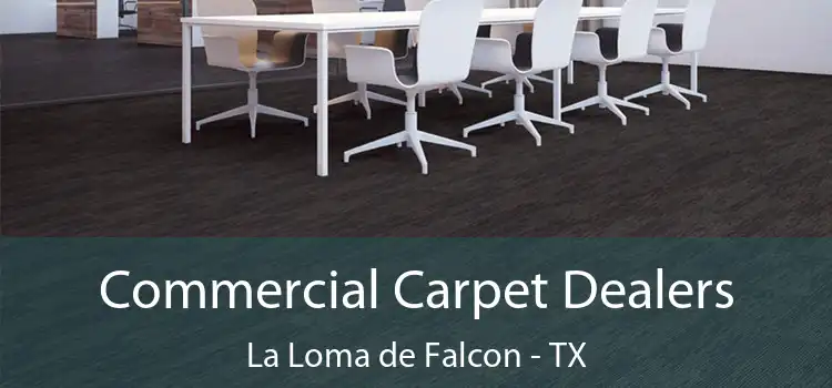  Commercial Carpet Dealers La Loma de Falcon - TX