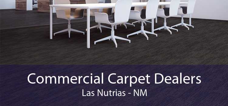 Commercial Carpet Dealers Las Nutrias - NM