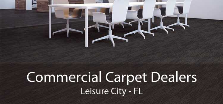 Commercial Carpet Dealers Leisure City - FL