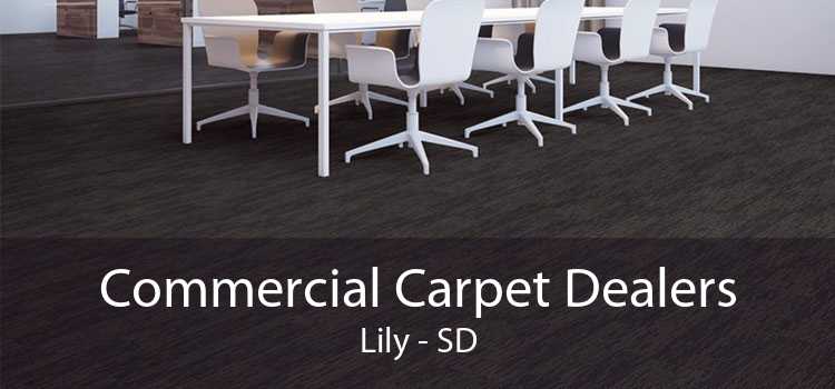 Commercial Carpet Dealers Lily - SD