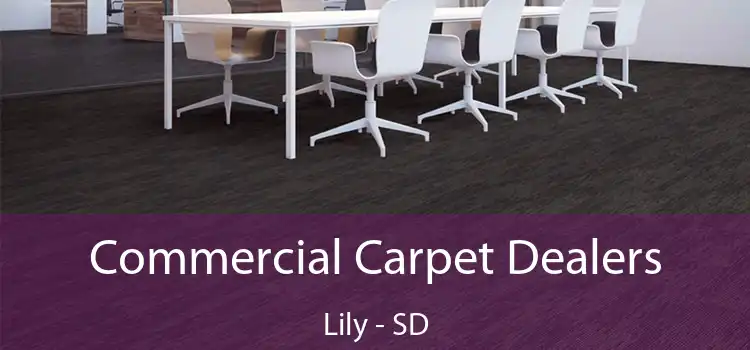 Commercial Carpet Dealers Lily - SD