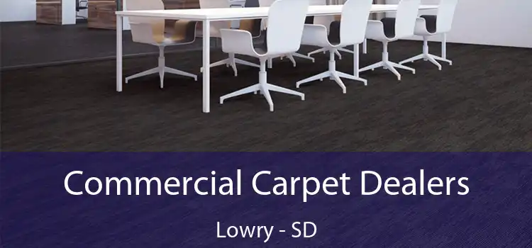 Commercial Carpet Dealers Lowry - SD