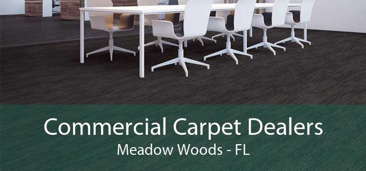 Commercial Carpet Dealers Meadow Woods - FL