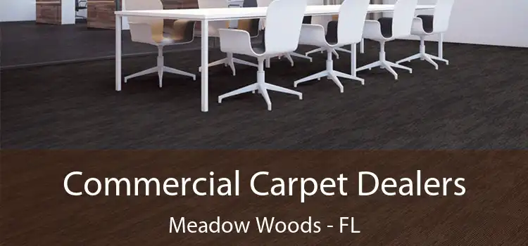  Commercial Carpet Dealers Meadow Woods - FL