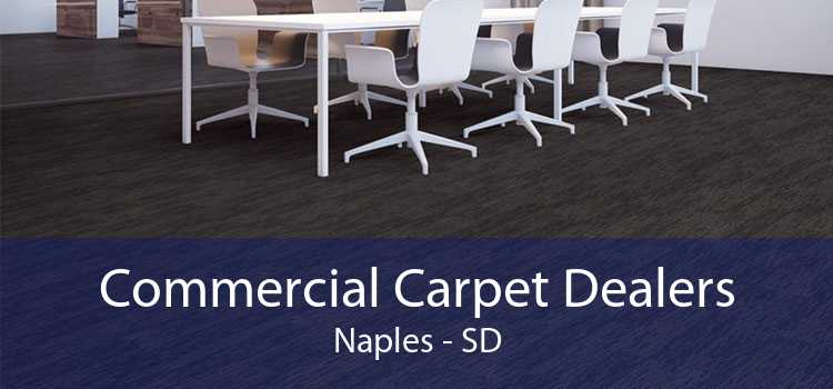 Commercial Carpet Dealers Naples - SD