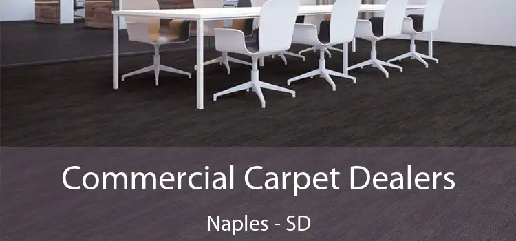  Commercial Carpet Dealers Naples - SD