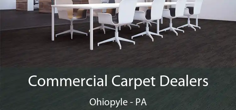 Commercial Carpet Dealers Ohiopyle - PA