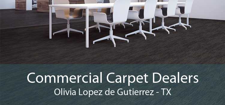 Commercial Carpet Dealers Olivia Lopez de Gutierrez - TX