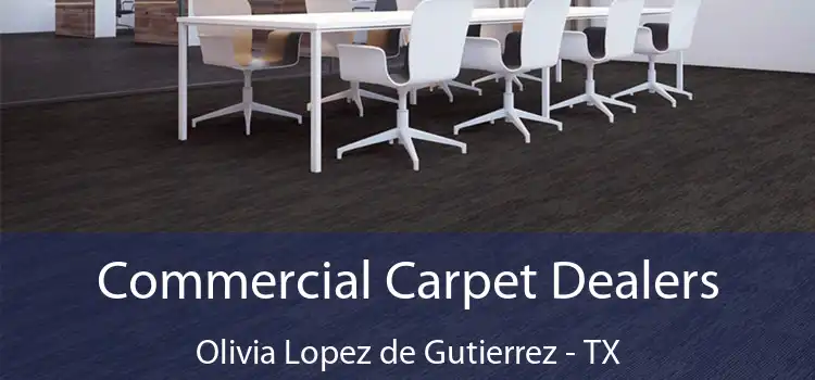  Commercial Carpet Dealers Olivia Lopez de Gutierrez - TX