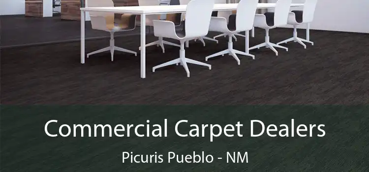  Commercial Carpet Dealers Picuris Pueblo - NM