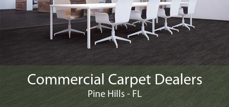 Commercial Carpet Dealers Pine Hills - FL